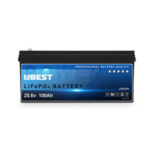 25.6V 100Ah LiFePO4 Battery